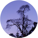 Brian Kahura profile picture