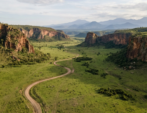 Naivasha Weekend Itinerary: Safari by Day, Spa by Night